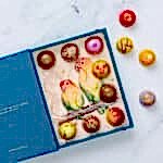 Blue Box Parrot Design