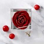 Rose in Bloom with Milk chocolate and Hazelnut Dragees