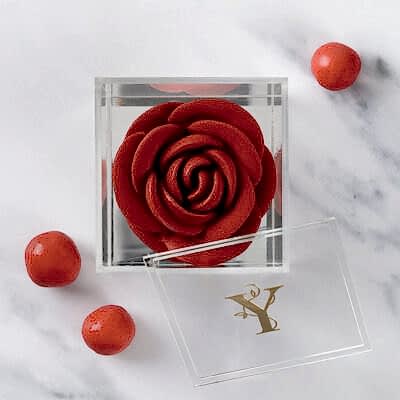 Rose in Bloom with Milk chocolate and Hazelnut Dragees