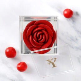 Rose in Bloom with Milk chocolate and Hazelnut Dragees